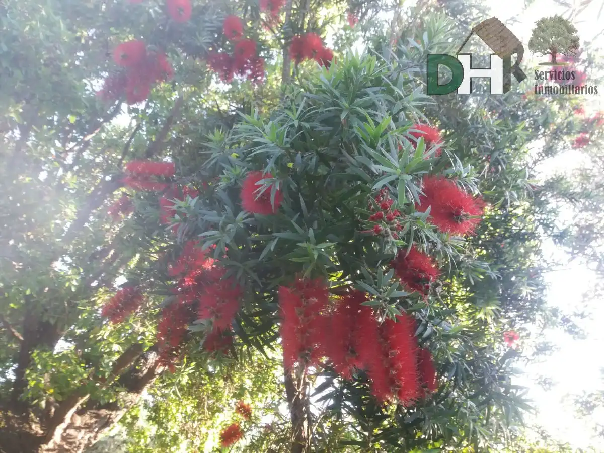 Chalet con terraza en venta en Mohedas de Granadilla, imagen 51