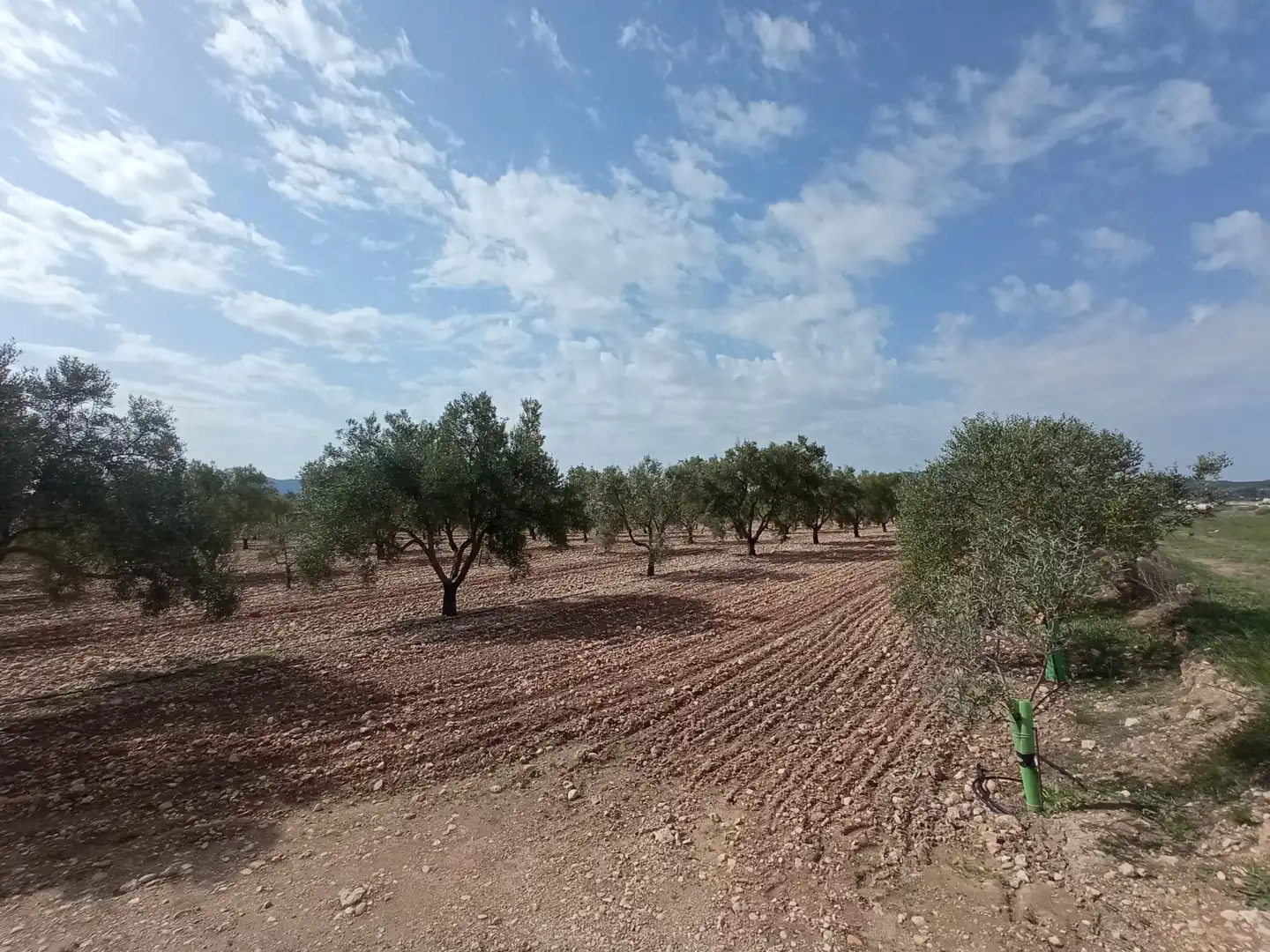 Terreno residenziale in vendita a Salinas, imagen 3