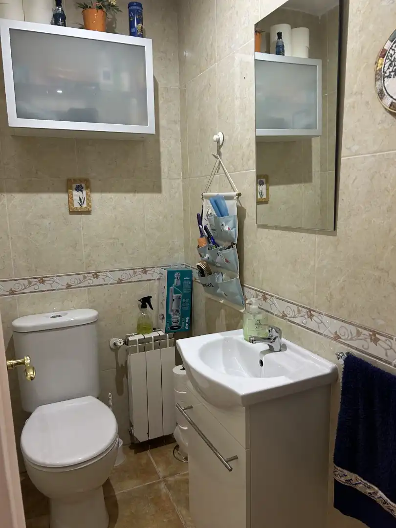 Baño de Casa o chalet en venta en El Escorial con Aire acondicionado, Calefacción y Jardín privado