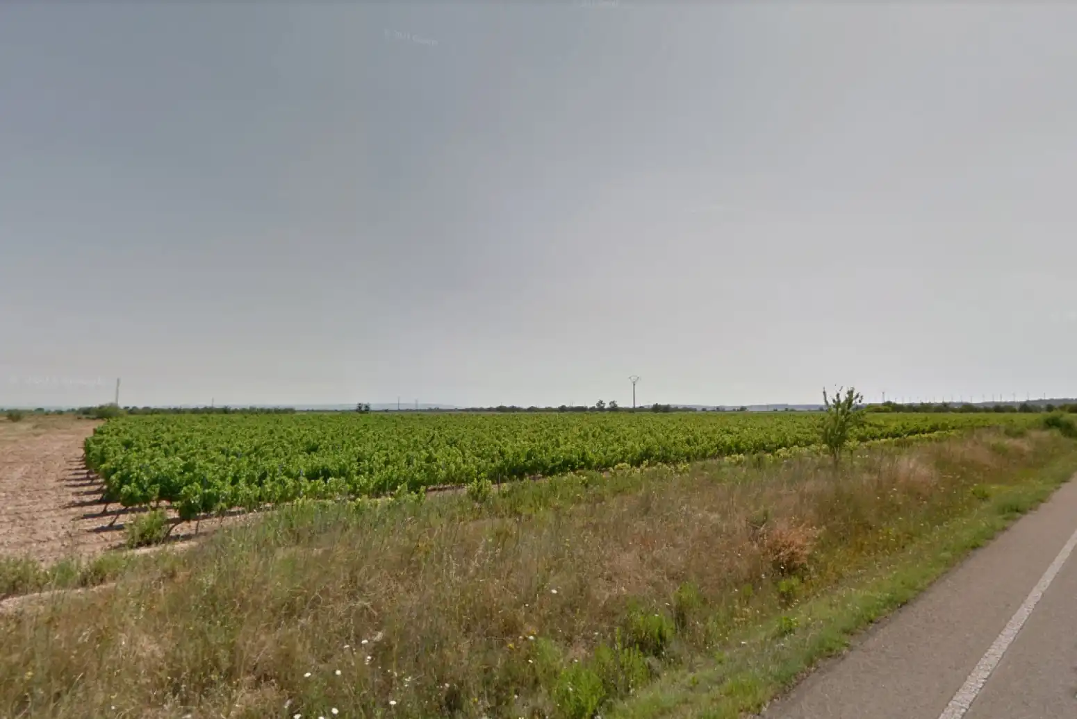 Rustikales Grundstück zum Verkauf in Corella - Ctra. Tudela, imagen 6