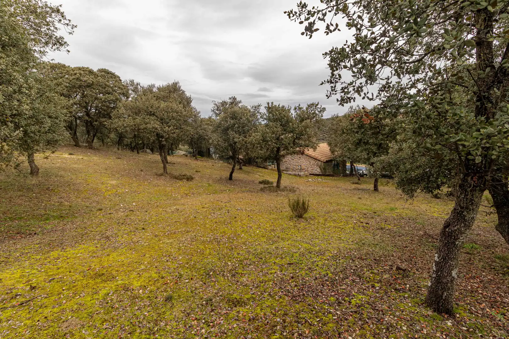 Casa o chalet en venta en Camino Monte, Ituero y Lama