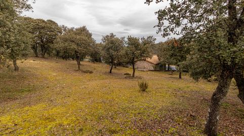 Foto 4 de Casa o xalet en venda a Camino Monte, Ituero y Lama, Segovia