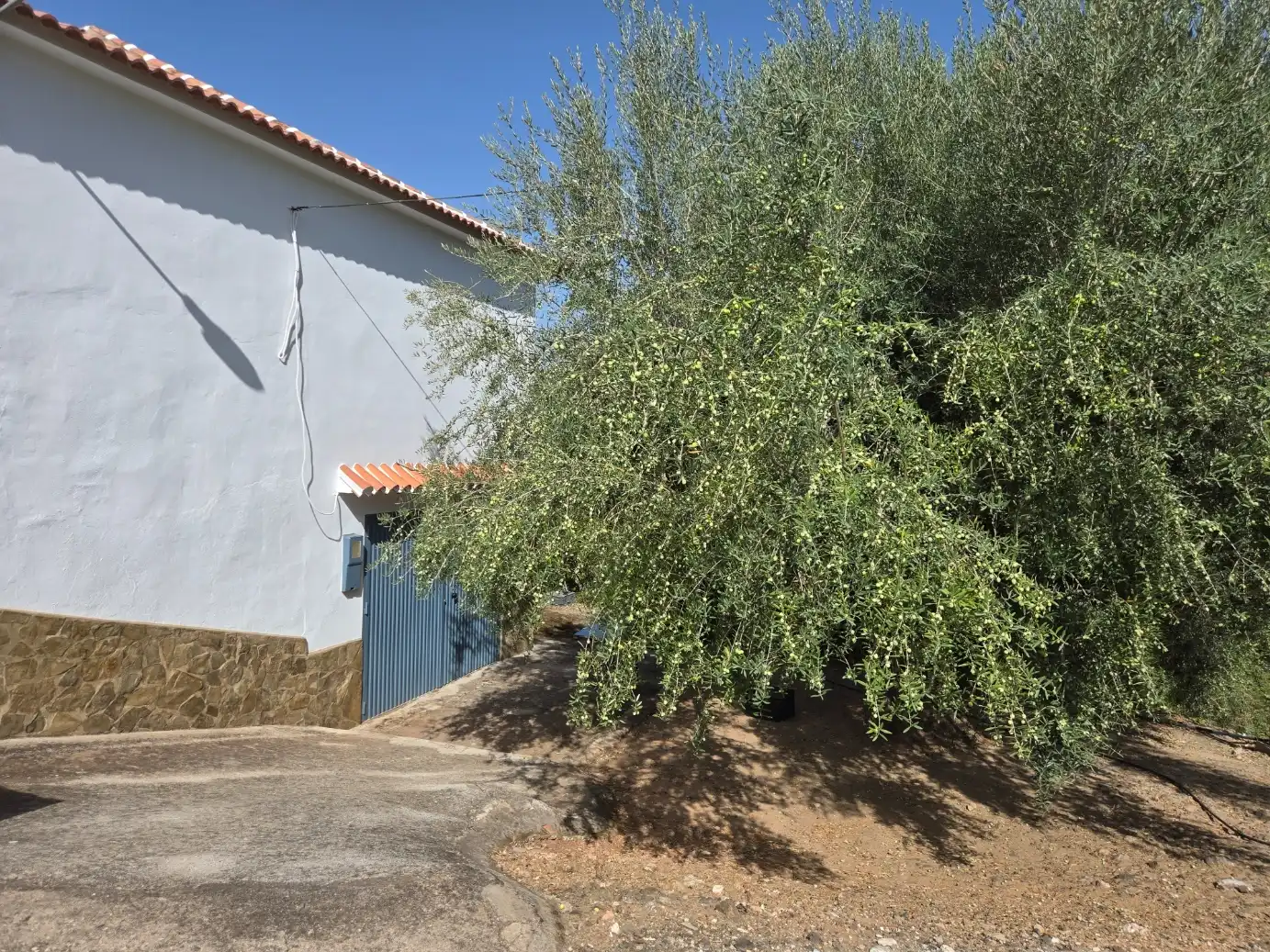 Casa amb jardí en venda a Camino de Alcaucin 111, imagen 6