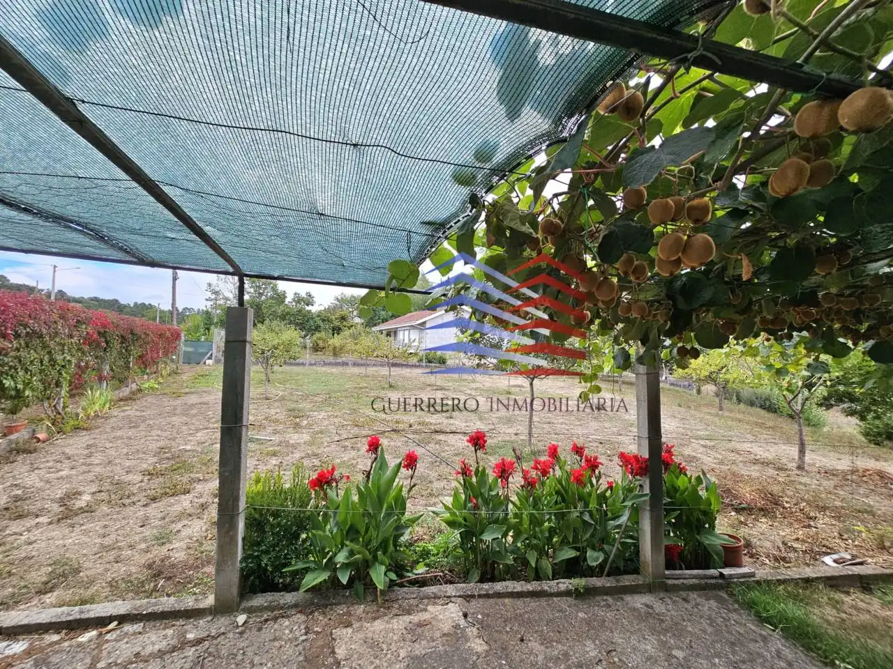 Jardí de Casa o xalet en venda en Celanova amb Jardí privat i Terrassa