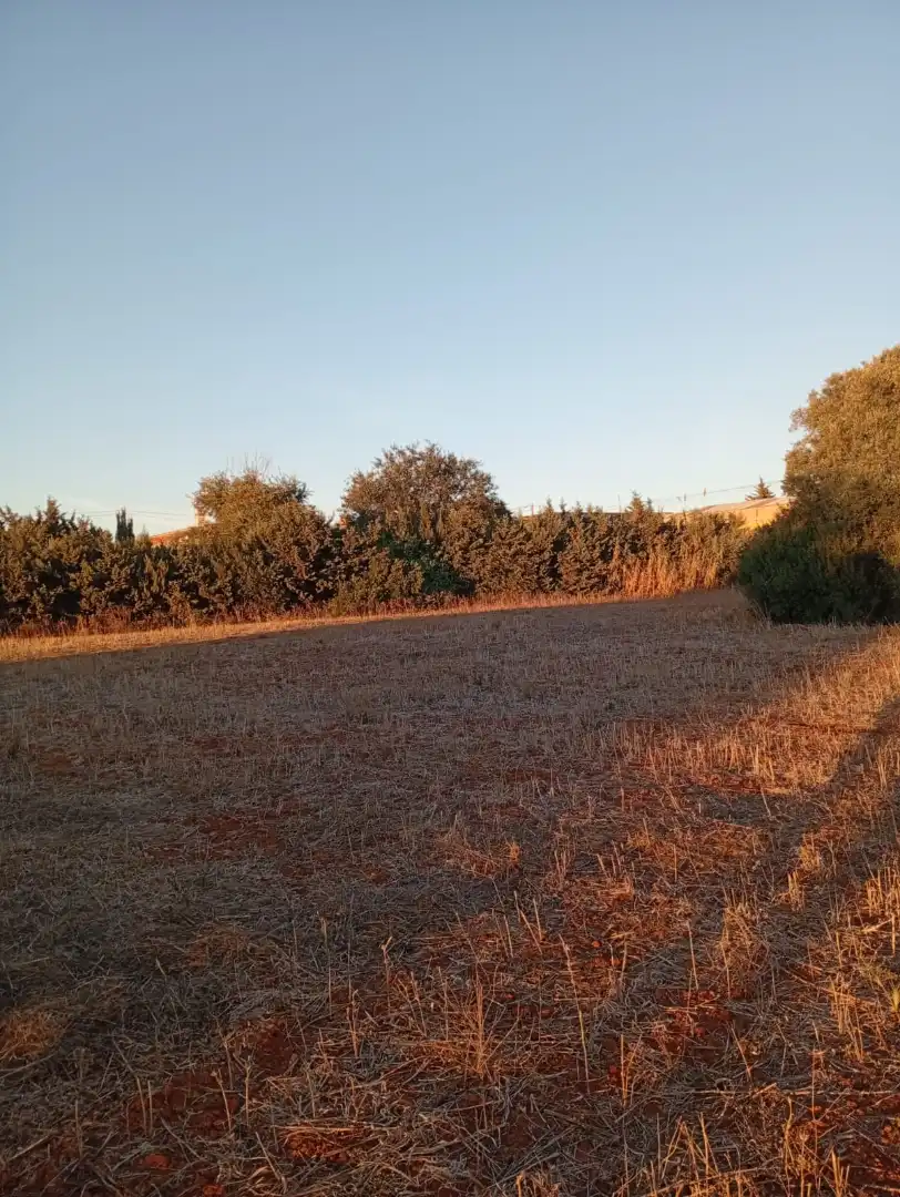 Terreno en venta en Conil de la Frontera