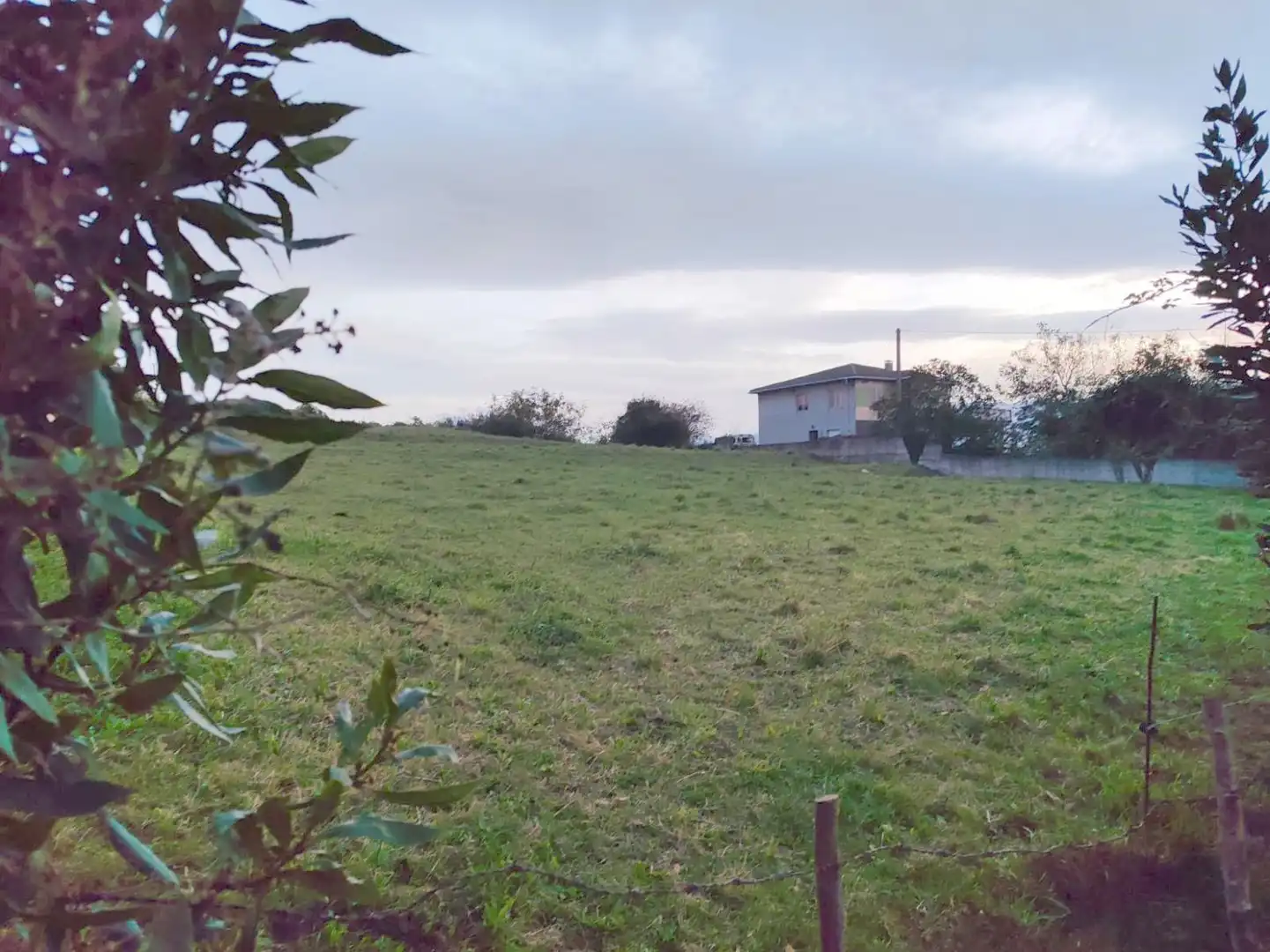 Terrenos y solares en venta en LUGIDO, imagen 6