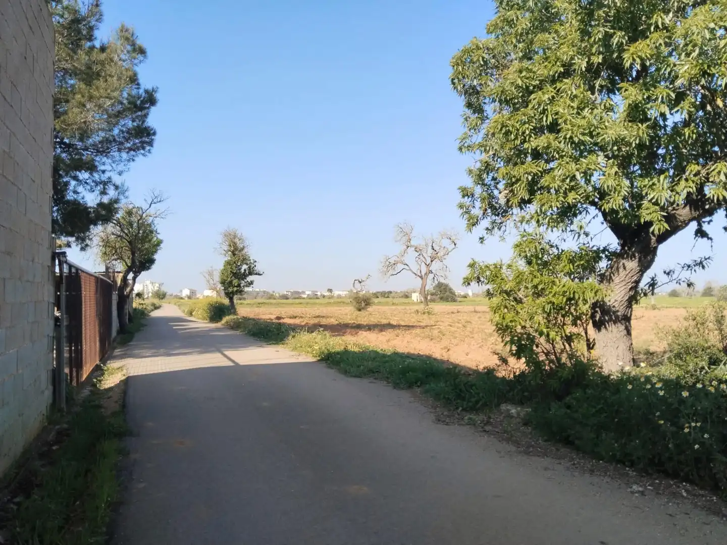 Rustikales Grundstück zum Verkauf in Campos poble, imagen 9