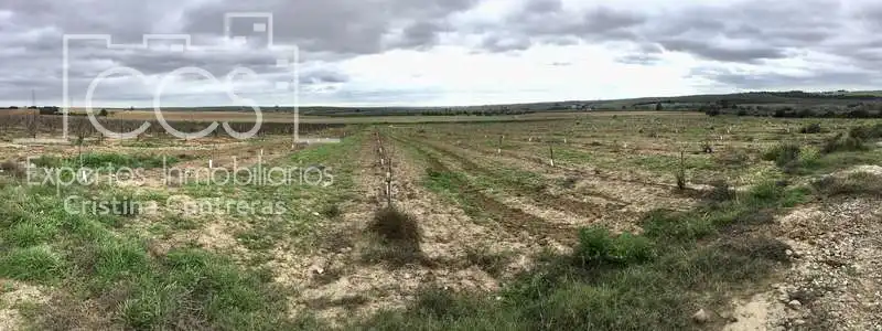 Terreno rústico en venta en Huévar del Aljarafe, imagen 28