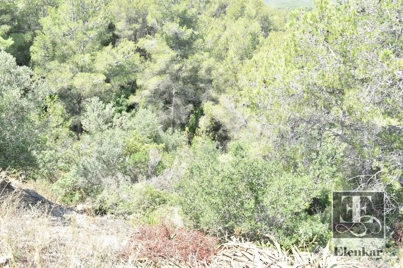 Rural land for sale in TER-UR CAN GORDEI, imagen 3