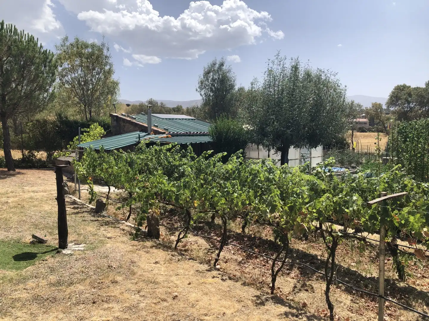 Finca rústica en venda a La Lastrilla
