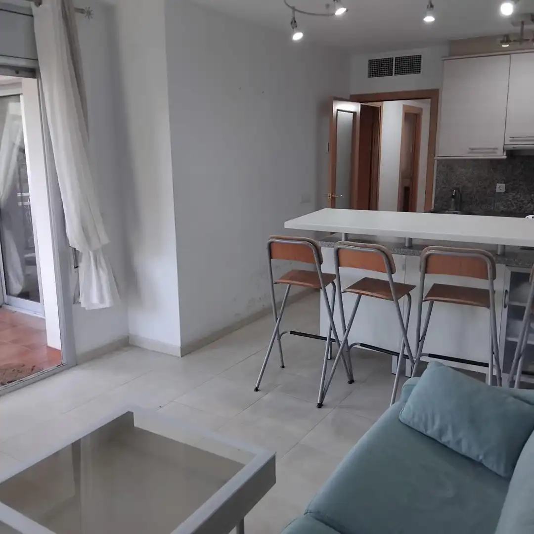 Sala de estar de Ático en venta en L'Ametlla de Mar  con Jardín privado, Terraza y Amueblado