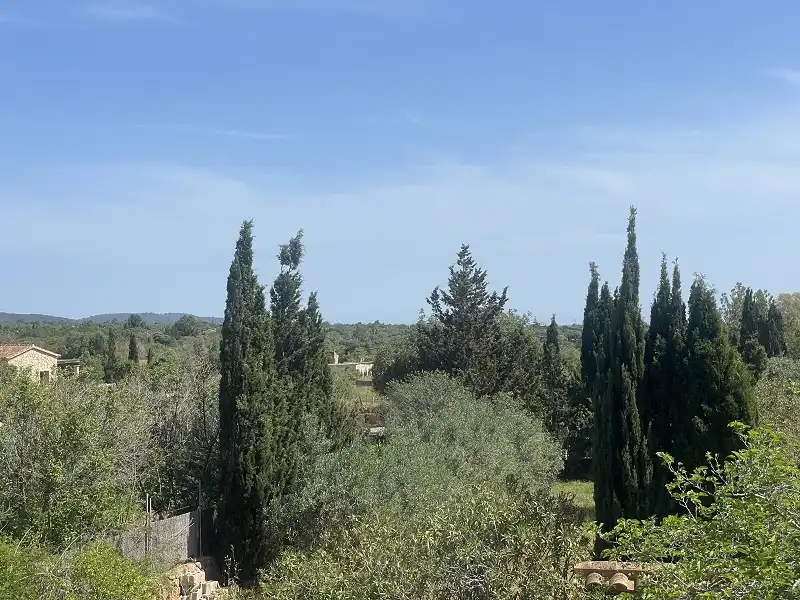 Villa avec jardin à vendre à Llucmajor pueblo, imagen 17