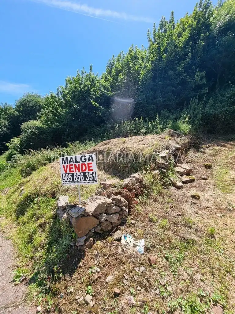 Casa o xalet en venda en Colunga amb Jardí privat