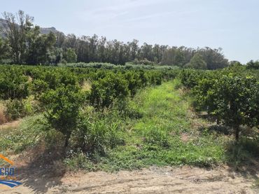 Terreny rústic en venda a A-357