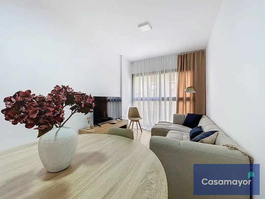 Living room of Flat for rent in Alicante / Alacant  with Air Conditioner, Heating and Storage room