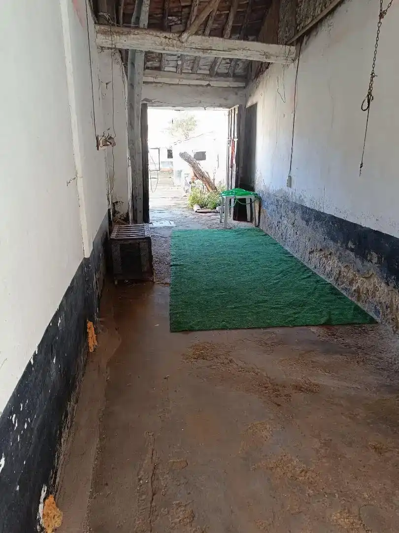 Planta baja en venta en Cantalejo con Trastero