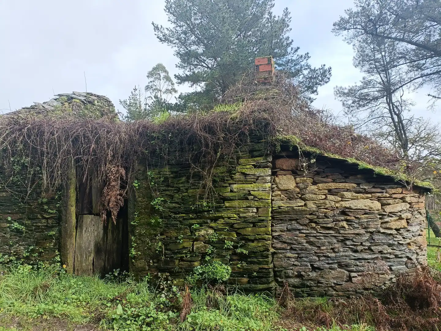 Vista exterior de Casa o xalet en venda en Guitiriz amb Jardí privat
