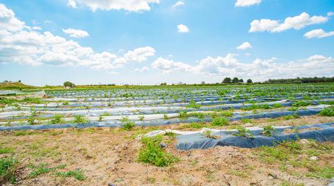 Photo 4 of Country house for sale in San Isidro, Alicante