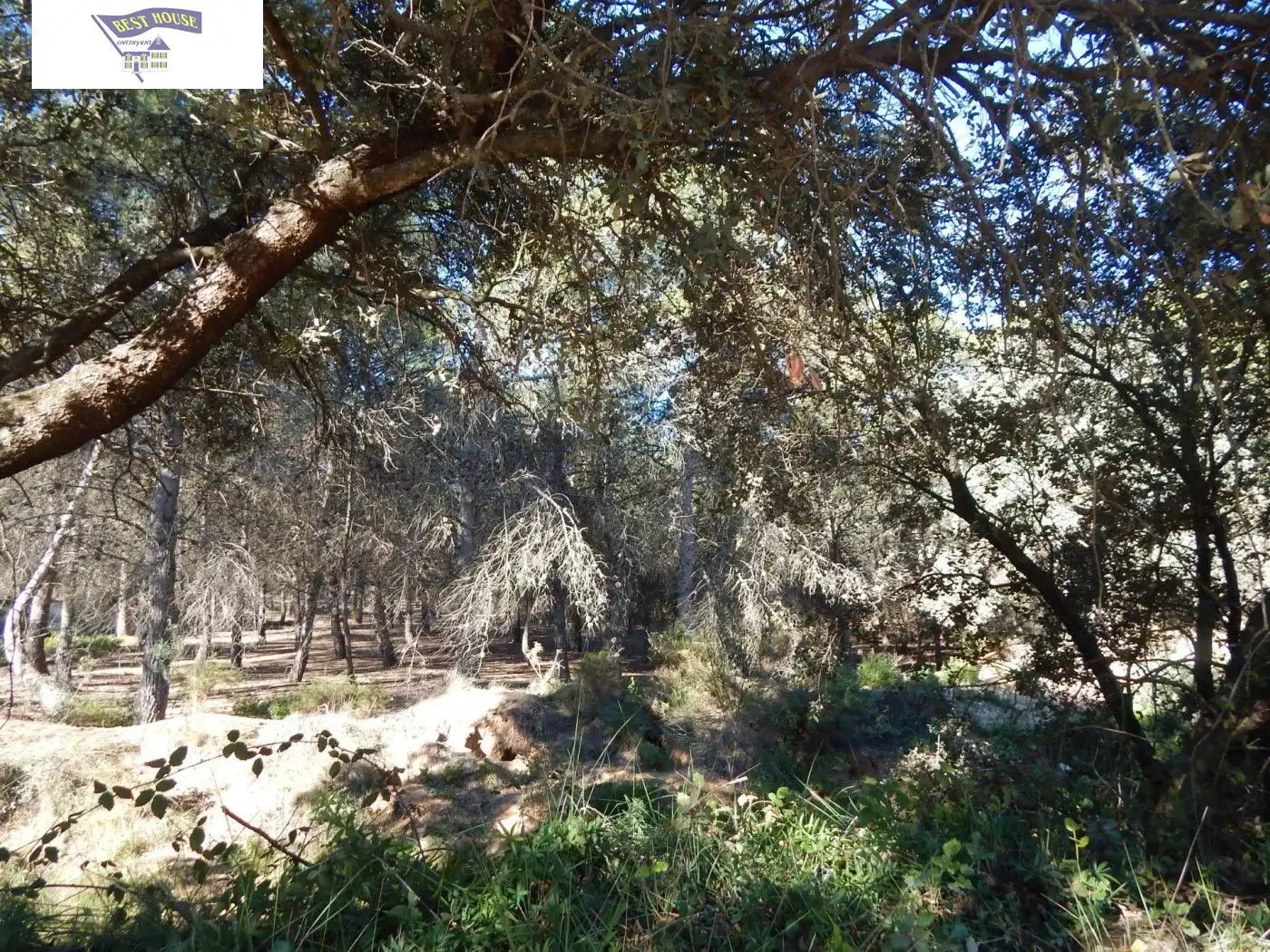 Residential for sale in Ontinyent