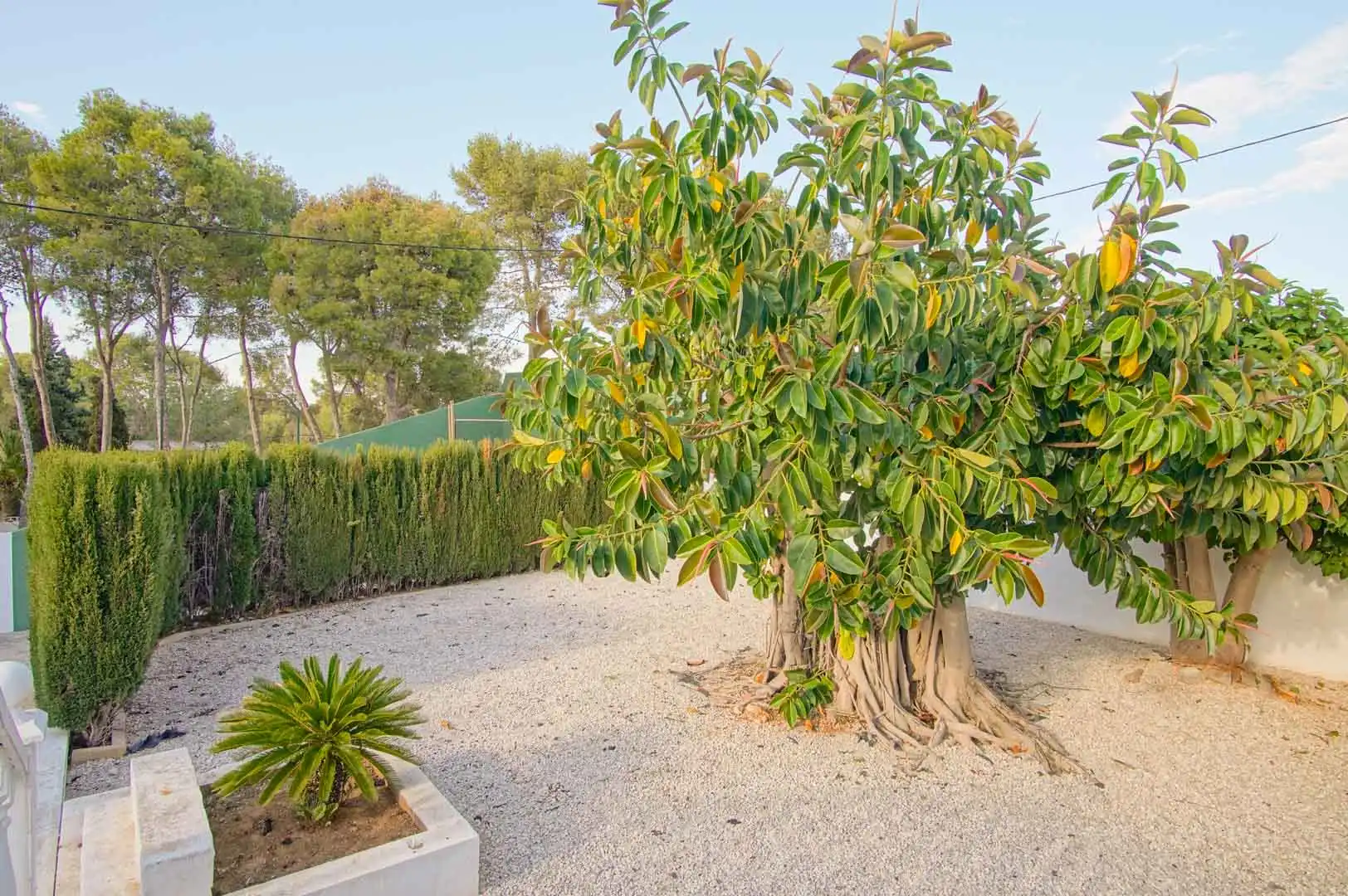 Garden of Houses for sale in Dénia  with Private garden and Balcony