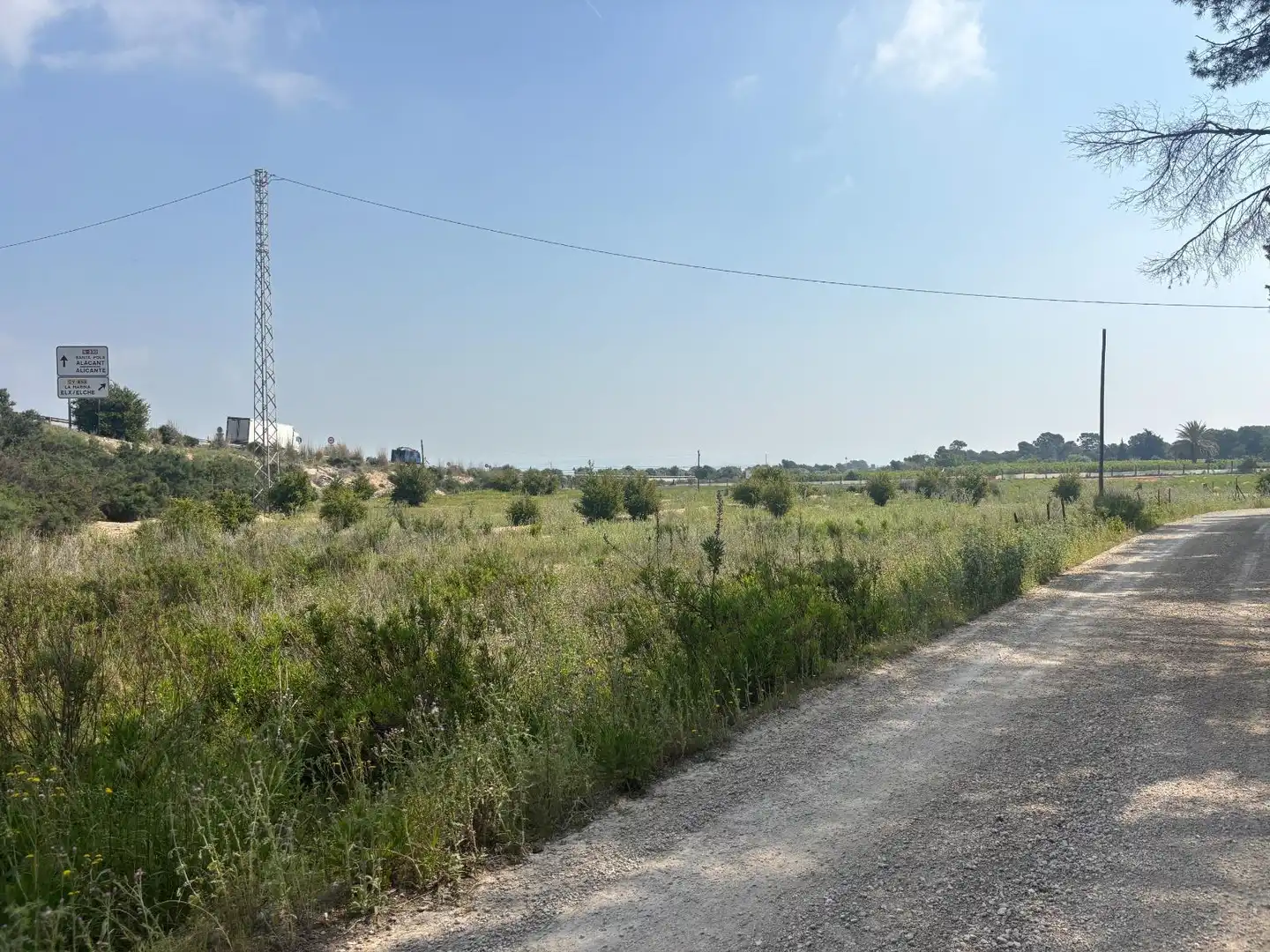 Terrain rustique à vendre à Elche ciudad, imagen 3