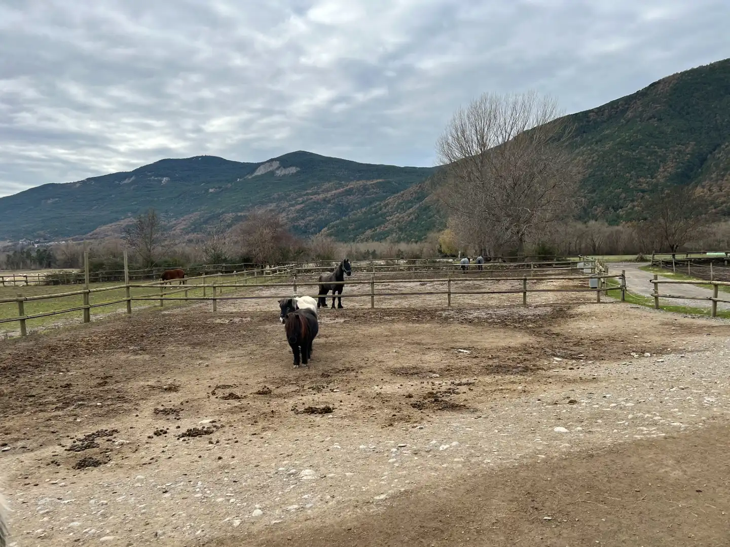 Terreni e lotti in vendita a Camino Oros Alto, imagen 52