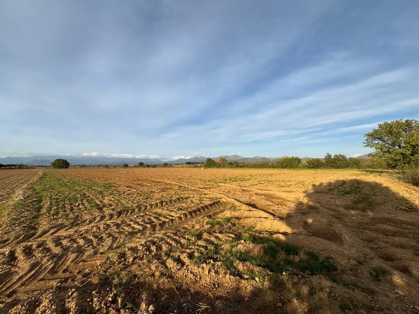 Rural land for sale in Garriguella, imagen 2