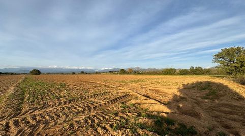Foto 2 de Terreno en venta en Garriguella, Garriguella, Girona