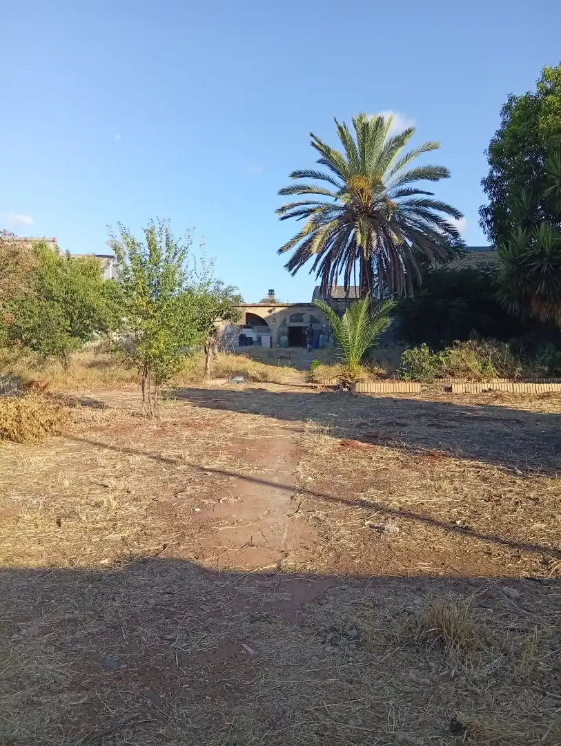 Terreni e lotti in vendita a La Hacienda - Nueva Andalucía, imagen 36