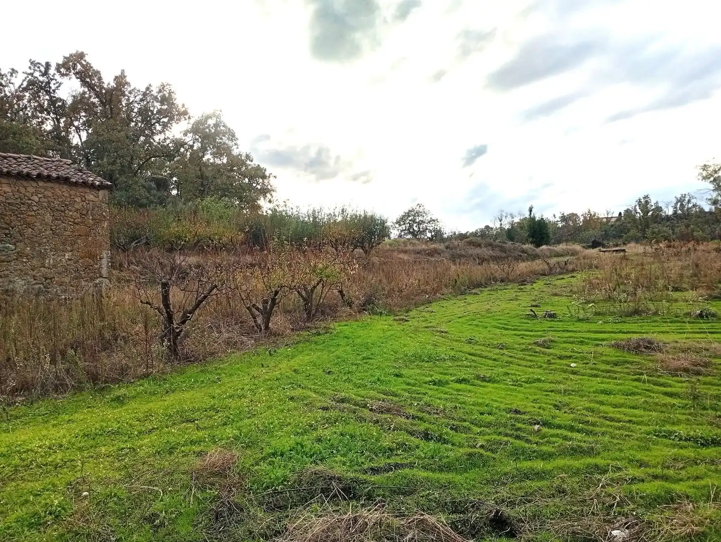 Terreni e lotti in vendita a Villanueva de la Vera, imagen 27