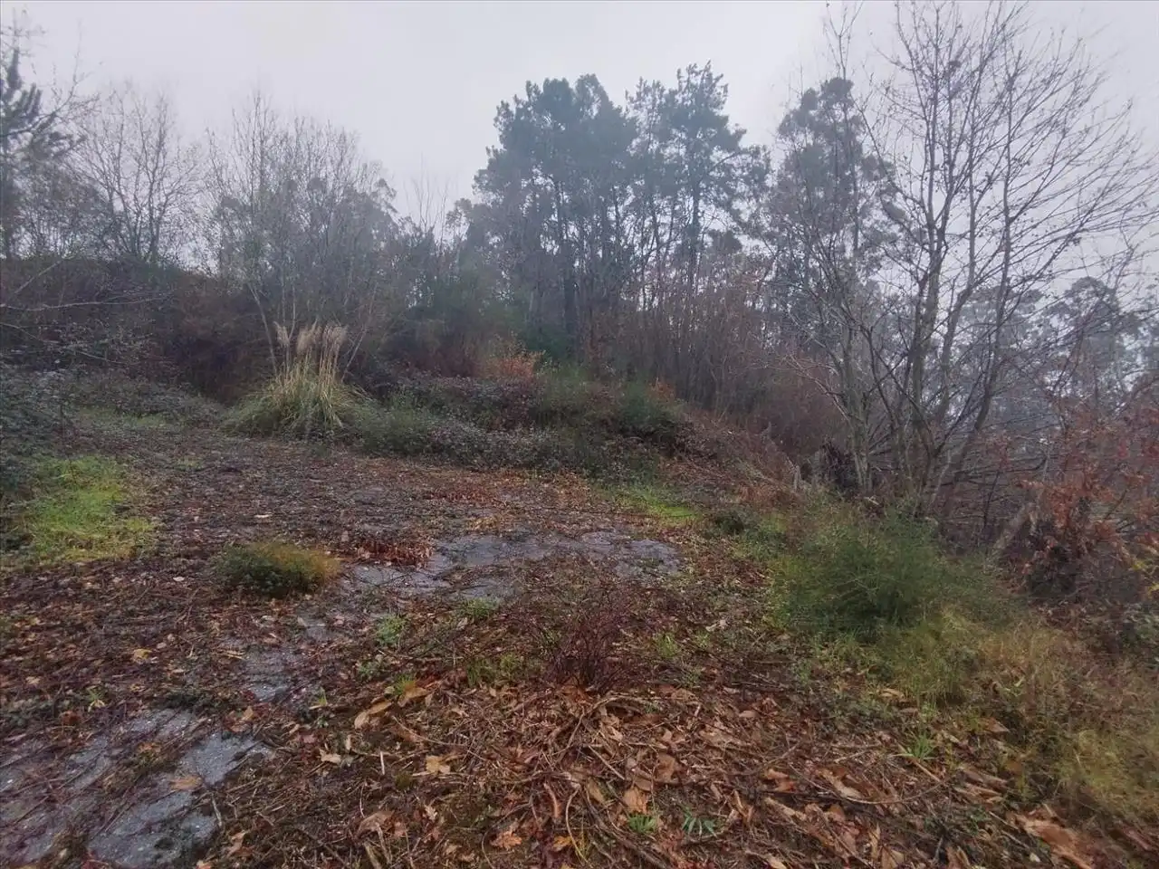 Terrain rustique à vendre à Tomiño, imagen 11