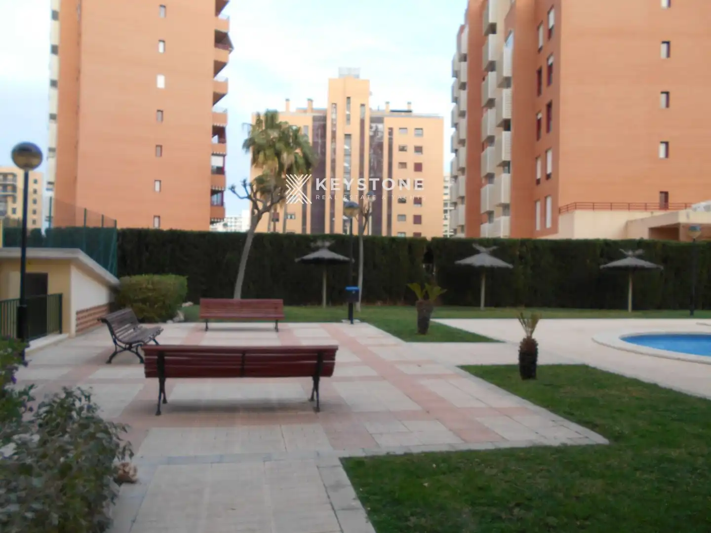 Piso con piscina en alquiler en CABO HUERTAS EN LA AVENIDA DE LA CONDOMINA, imagen 11