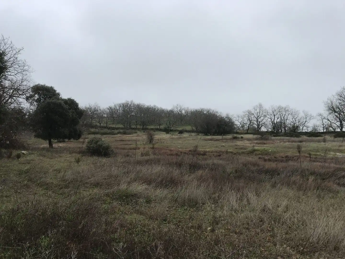 Terreni e lotti in vendita a Malpartida de Plasencia, imagen 4