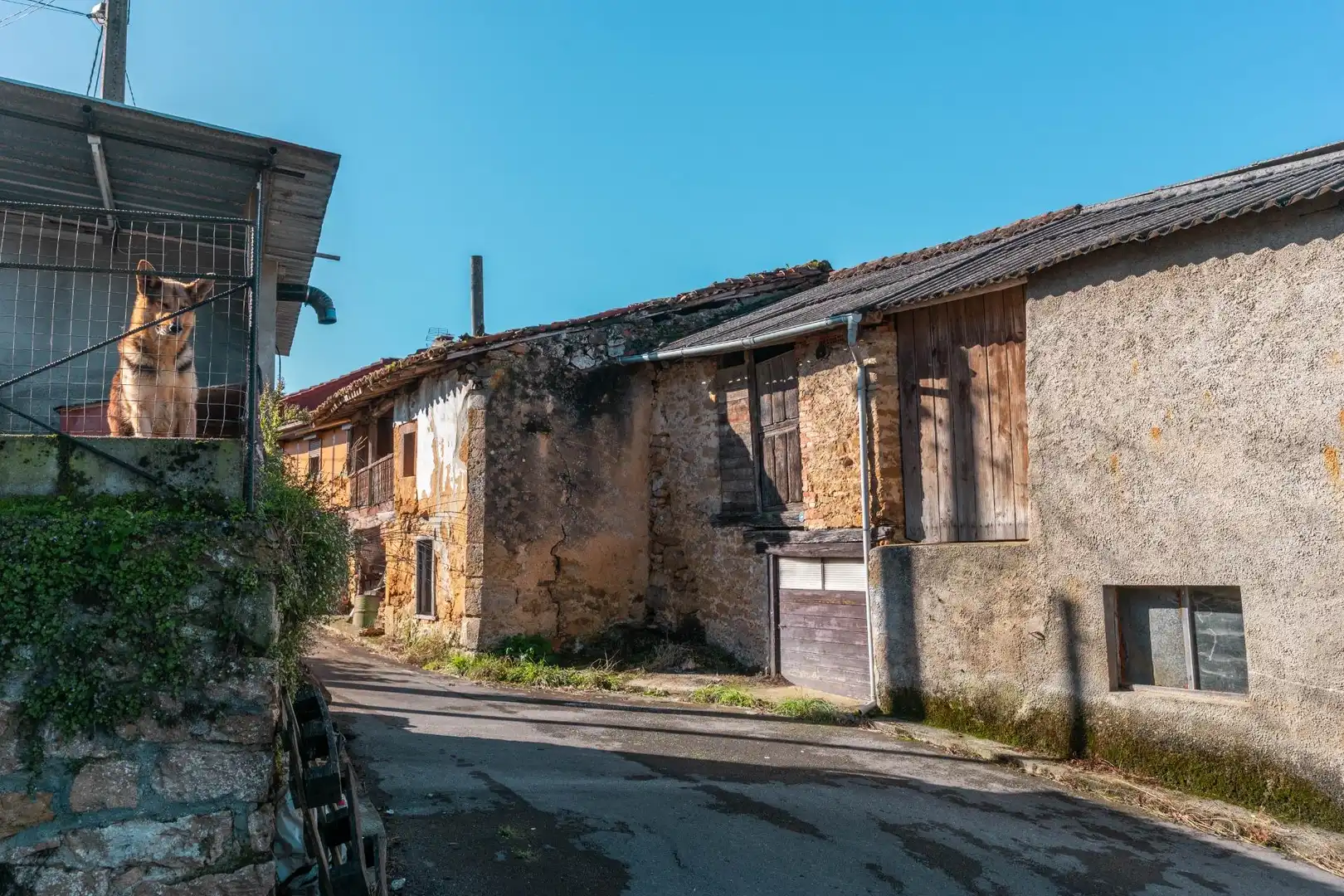 Vista exterior de Casa o chalet en venta en Piloña, Asturias