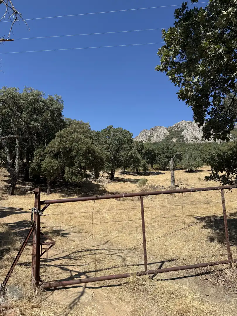 Terreno en venta en Berzocana