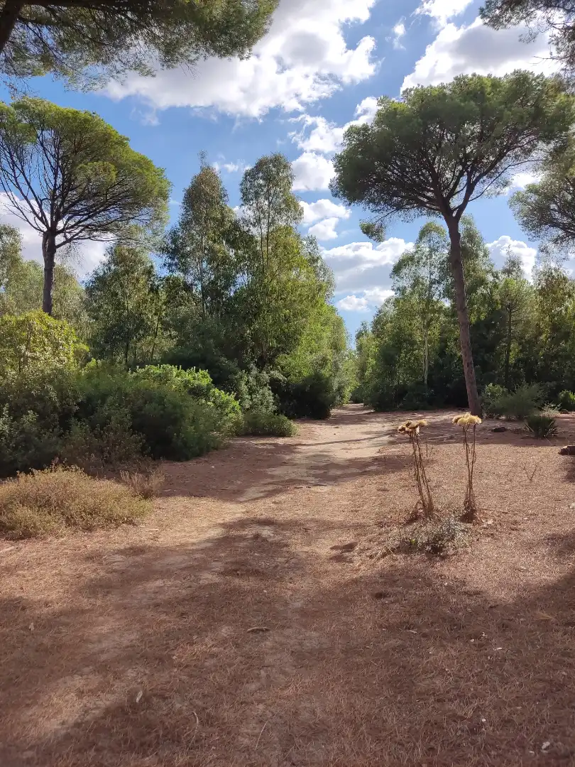 Terreni e lotti in vendita a Las Lagunas - Campano, imagen 8