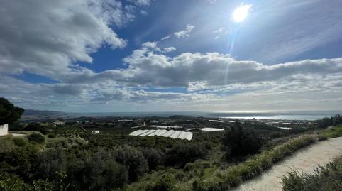 Foto 4 de Finca rústica en venta en Almayate, Vélez-Málaga