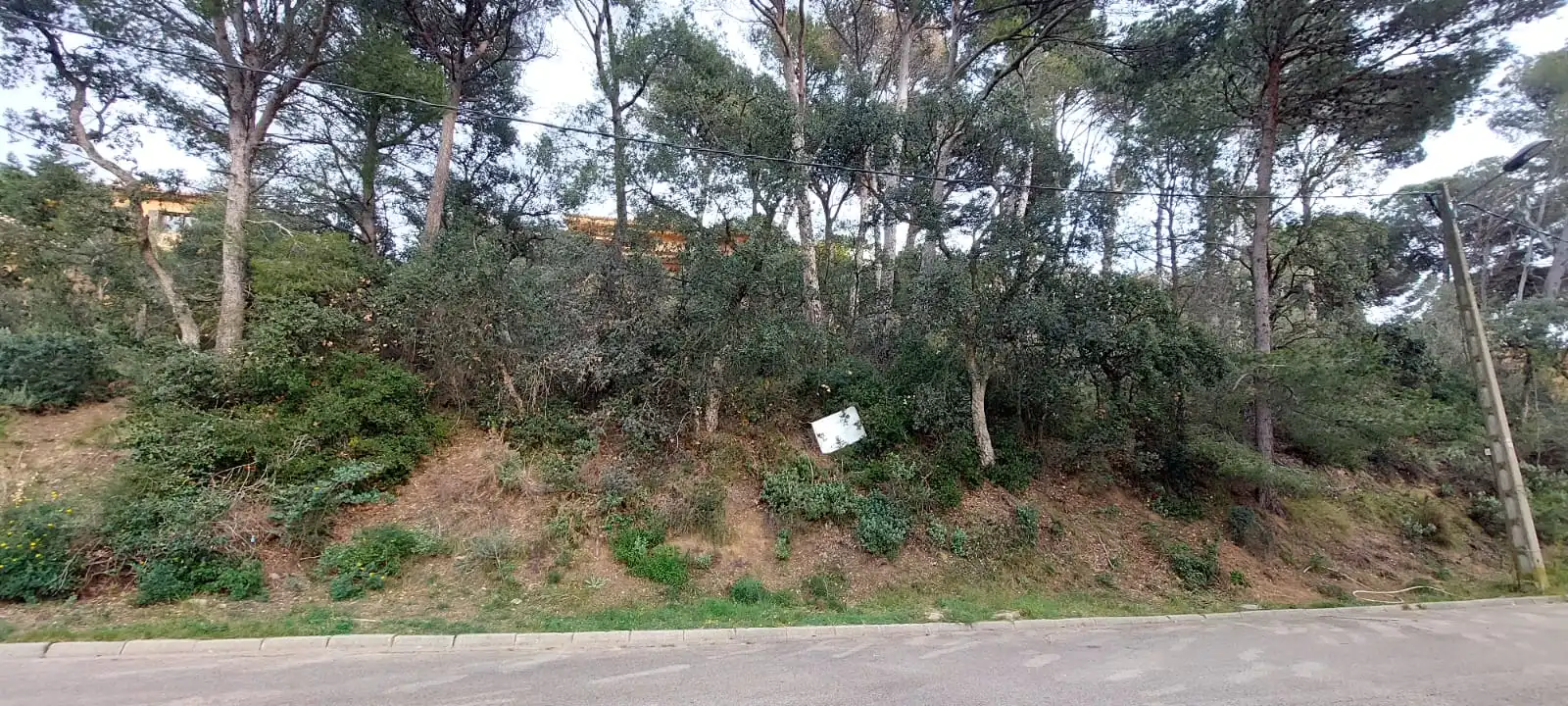 Terreny residencial en venda a Tamariu, imagen 15