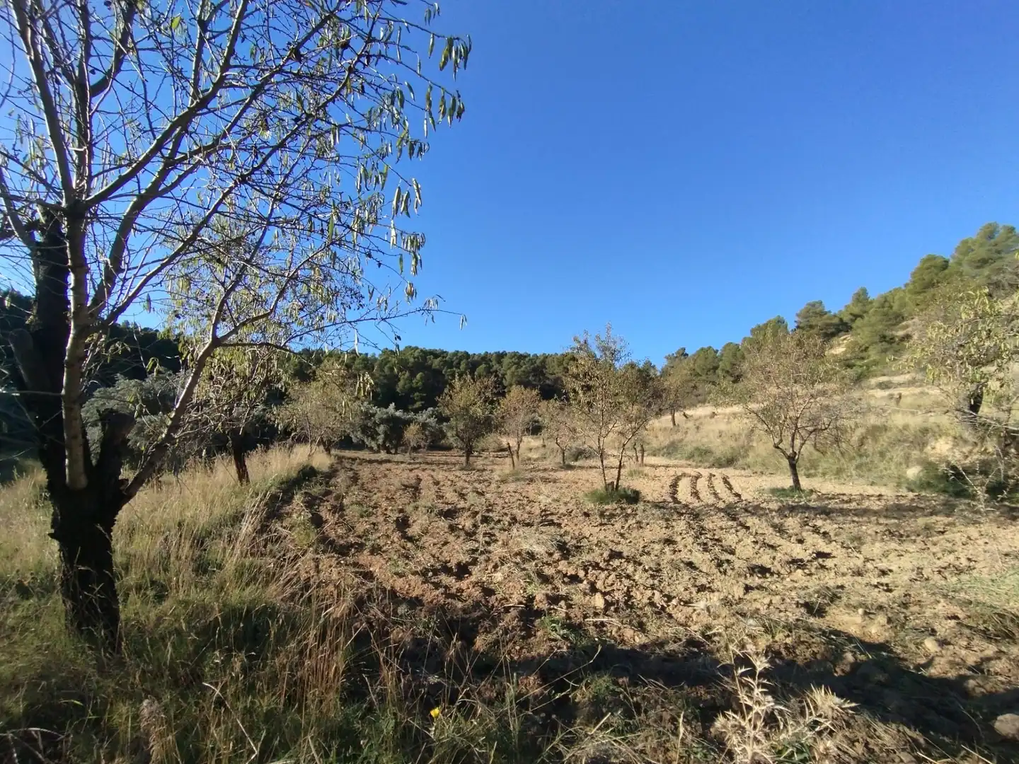 Terreni e lotti in vendita a La Fresneda, imagen 6