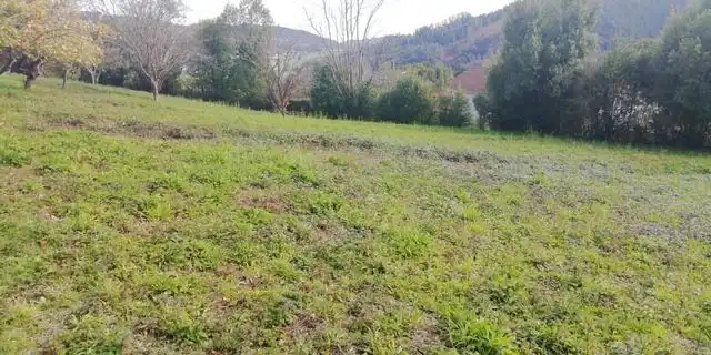 Terreny residencial en venda a Las Regueras, imagen 19