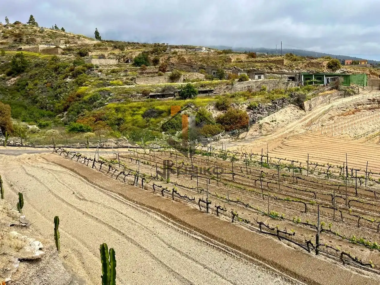 Land for sale in Fasnia