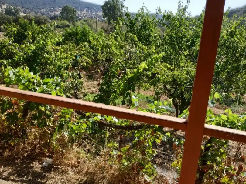 Garden of Land for sale in Garbayuela, Badajoz