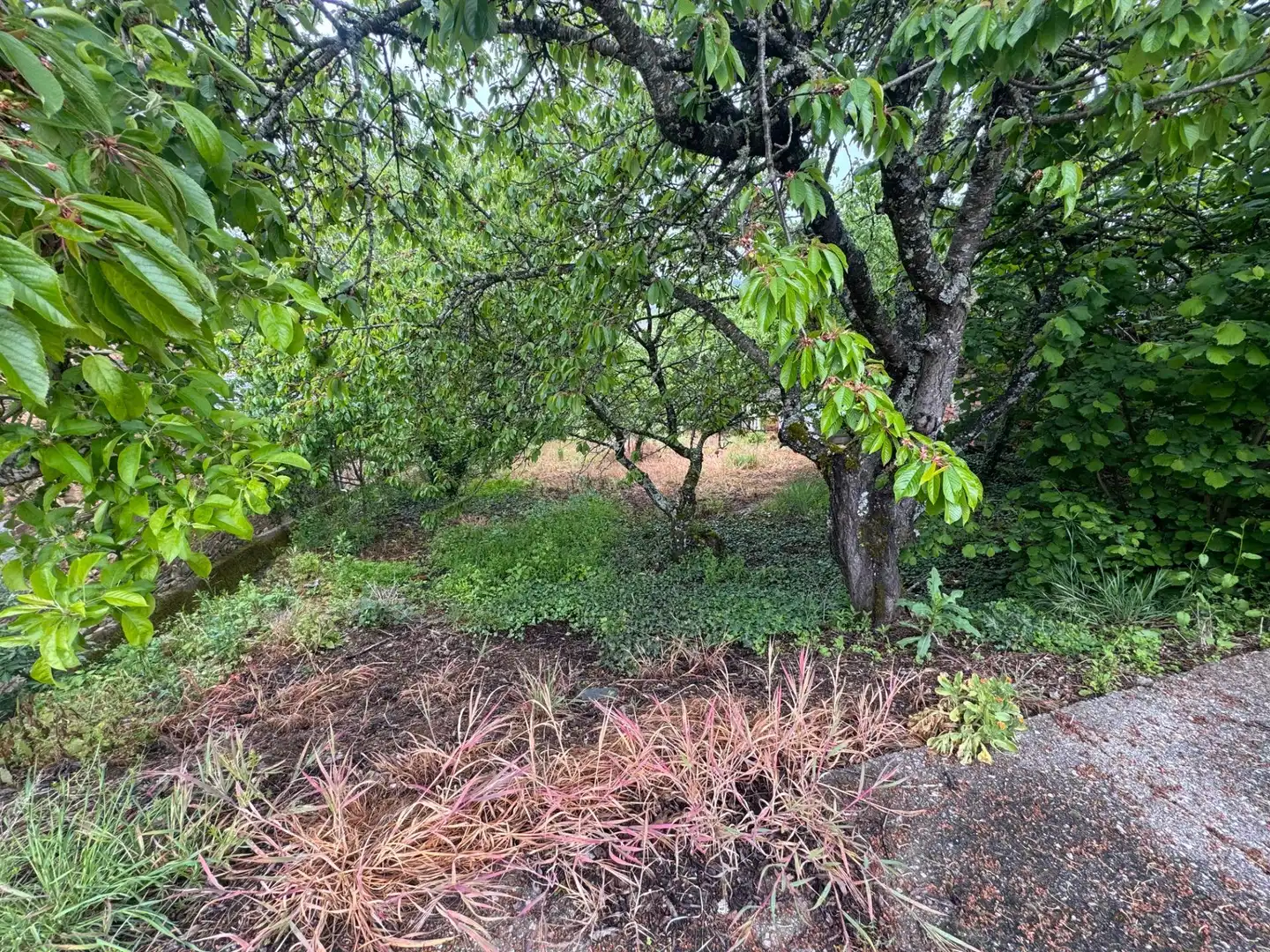 Finca rústica en venda en Toreno amb Jardí privat, Terrassa i Moblat