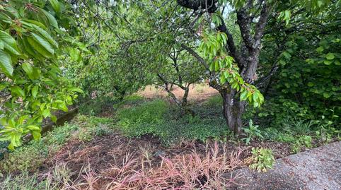 Foto 5 de Finca rústica en venda a  Lomba-va, Toreno, León