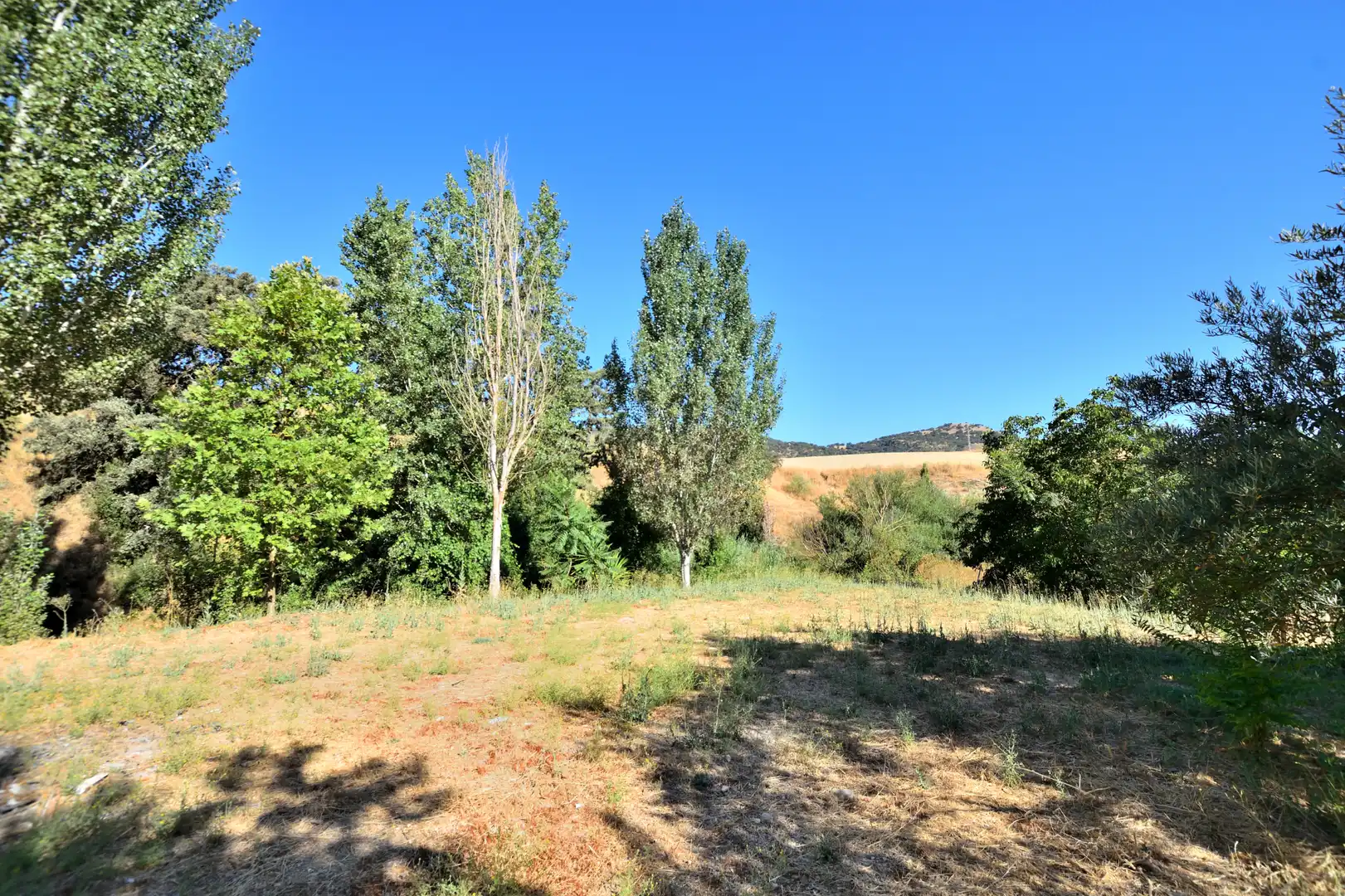 Nau industrial en venda a Lugar Partido Rural los Frontones, imagen 23