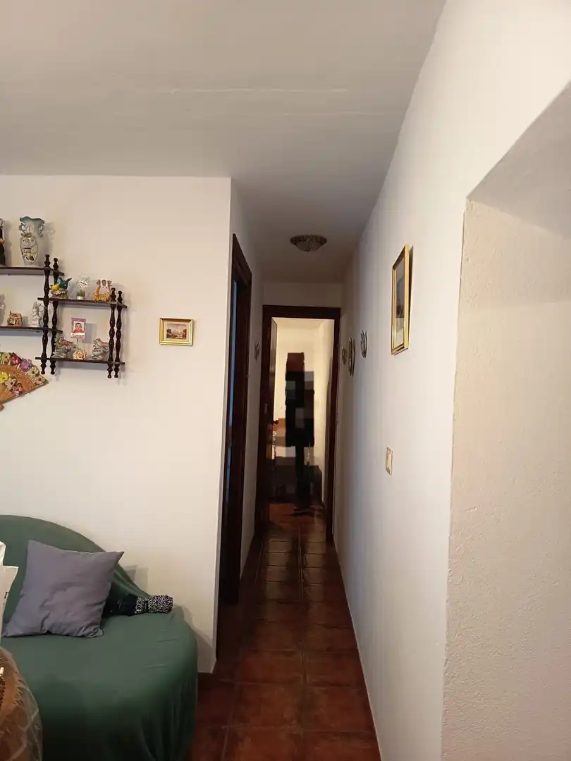 Finca rústica en venta en Canillas de Albaida