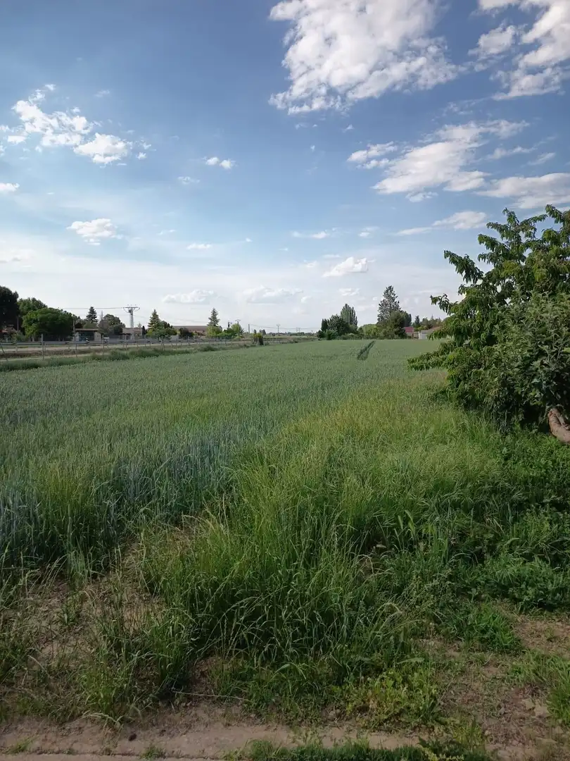 Terreni e lotti in vendita a Grijota, imagen 4