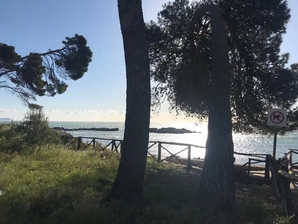 Maison avec jardin à vendre à L'Estartit Poble, imagen 38