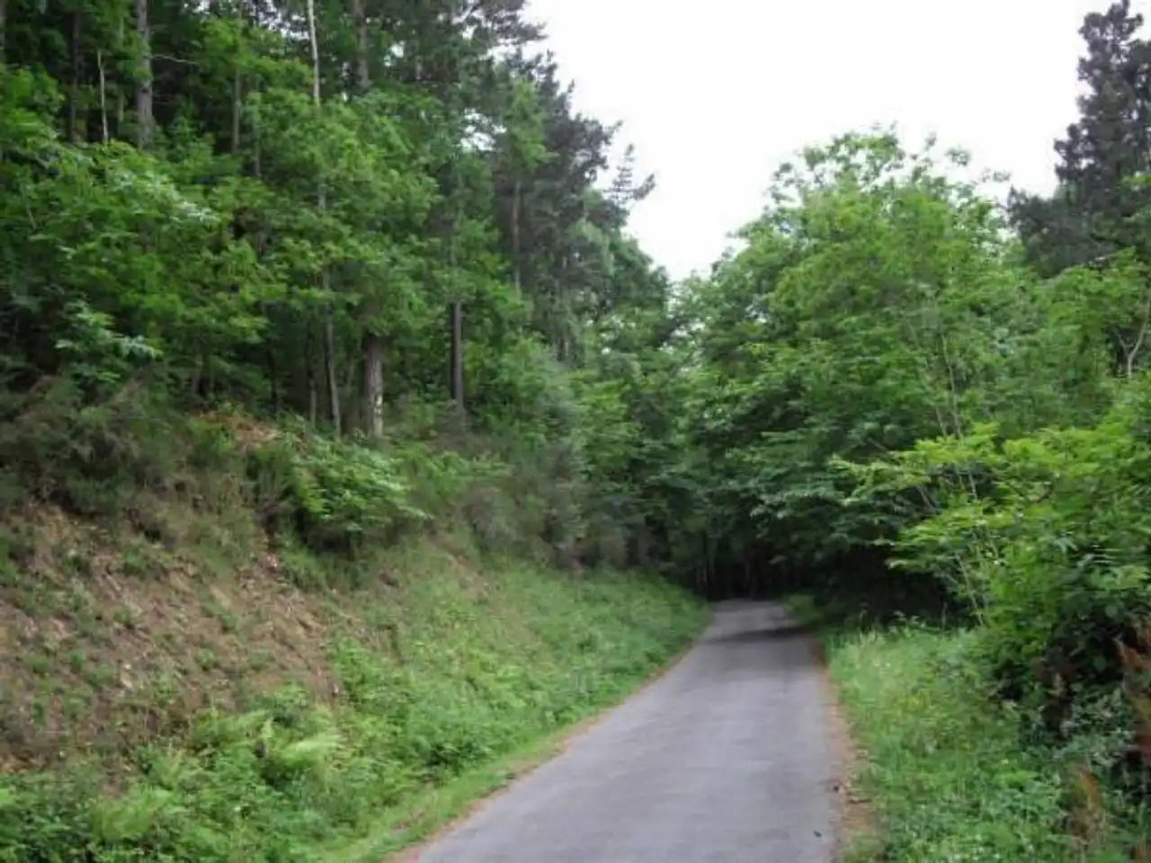 Terreny rústic en venda a Valdés - Luarca, imagen 7
