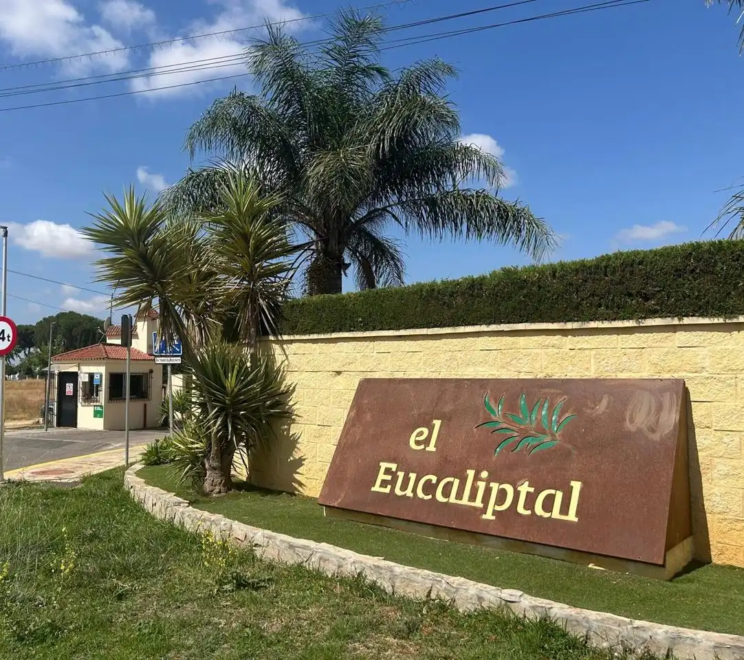 Vista exterior de Casa o chalet en venta en Alcalá de Guadaira con Aire acondicionado, Jardín privado y Terraza